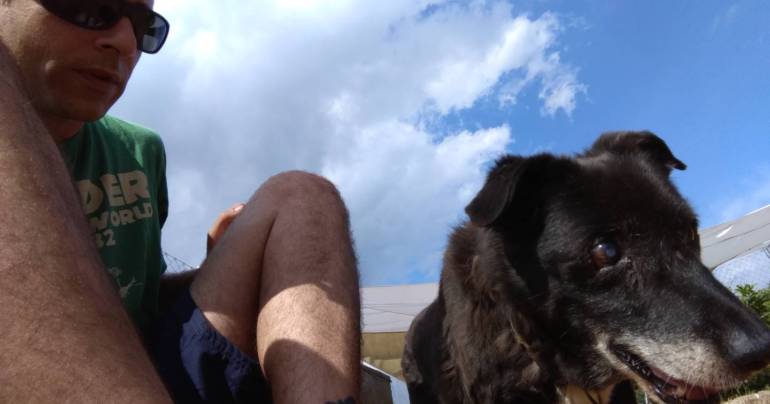 Vídeo en 360º de perro mayor y ciego haciendo ejercicios de estimulación olfativa